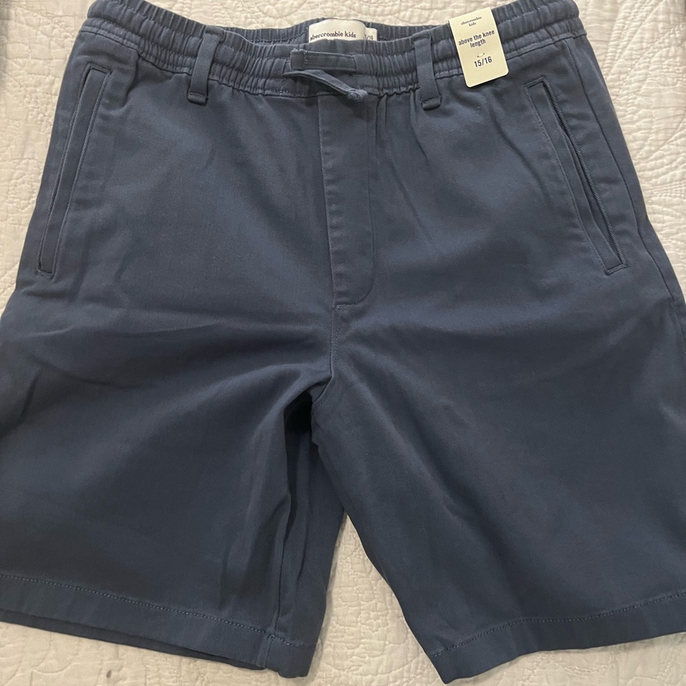 Abercrombie Kids Navy Flat Front Shorts